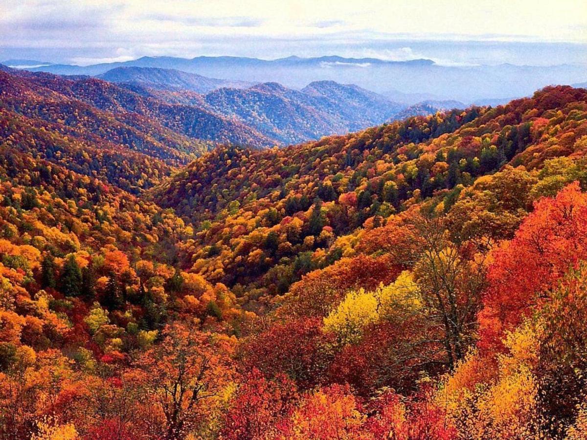 Sky High Views!!-Peak Mountaintop-Outdoor Pool-Close To Downtown-Private Balcony-Wifi-Cable Gatlinburg Kültér fotó